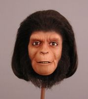 Planet of the Apes collectible display bust