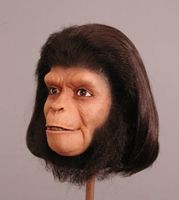 Planet of the Apes collectible display bust